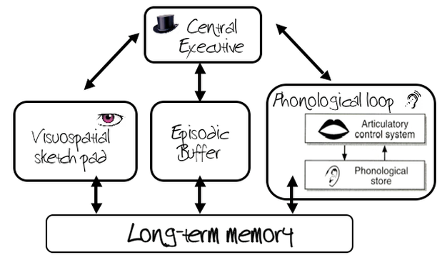 memory model psychology