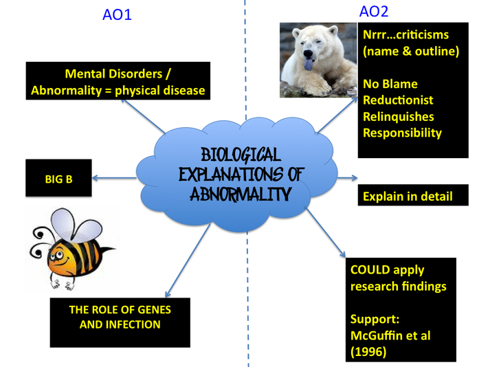 Biological explanations of depression essay